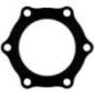 Flat gasket engine - 500387050FPT Flat gasket engine - 500387050FPT