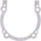 Gasket - 502849401
