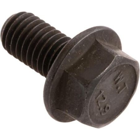 Bolt - 503200045