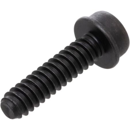 Screw IHSCFT MT5X20 12.9 - 503217520