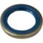 Gasket - 503260301 Gasket - 503260301