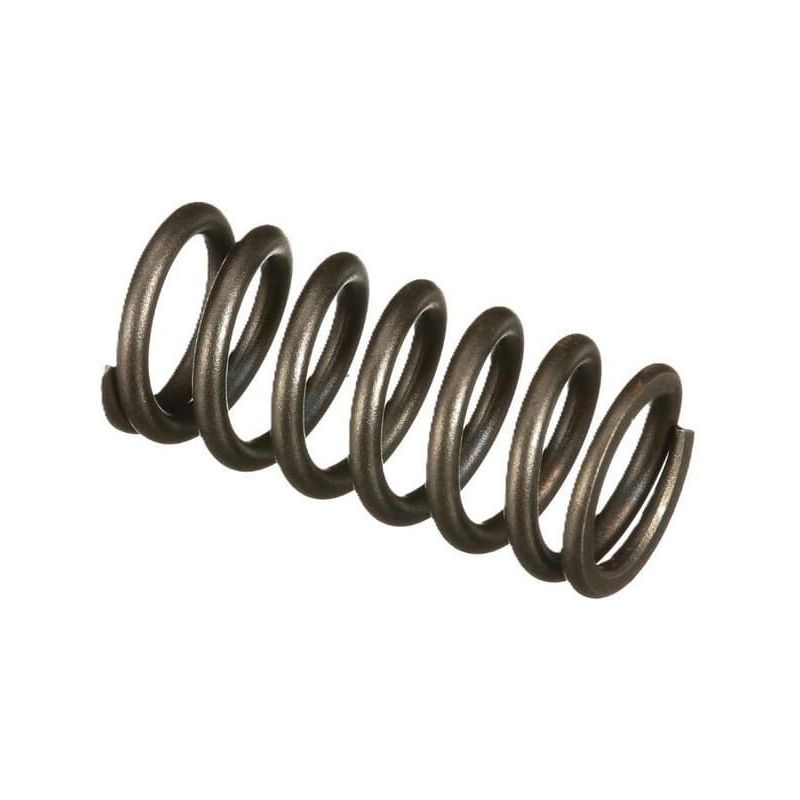 Valve spring - 504099999FPT