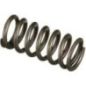 Valve spring - 504099999FPT