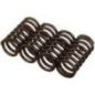 Ventilfeder - 504110997FPT Ventilfeder - 504110997FPT