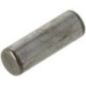 Needle roller - 505508101