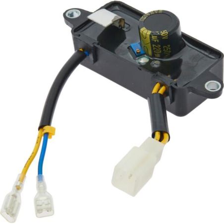 Regulator Assy - 534729