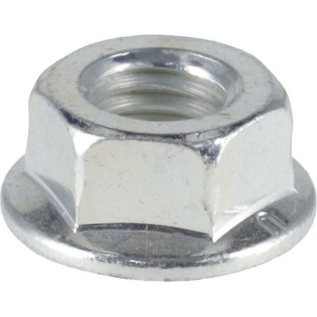 Nut - 538227762