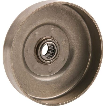 Ringkettenrad - 538240266