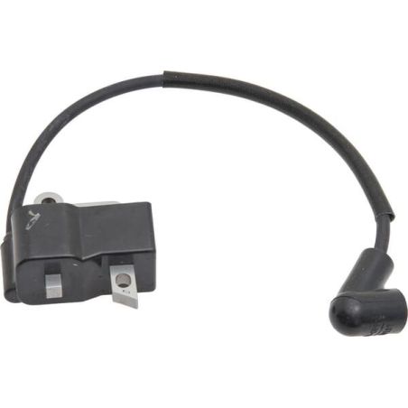 Ignition module - 597383401