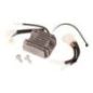 Voltage regulator - 599349073 Voltage regulator - 599349073