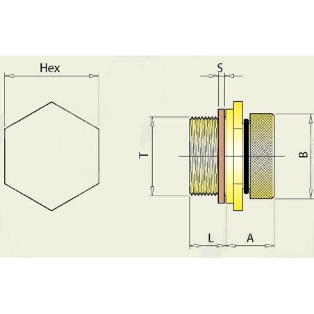 Sump plug, 3/8 Femco - 6070020131