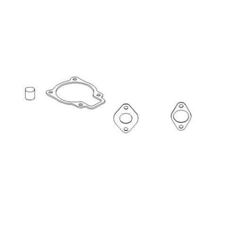 Briggs & Stratton rolniczeczesci.pl