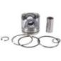 Kolbenbaugruppe Standard - 8097879FPT