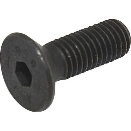 Śruba imbusowa M10-30 - 8112190234