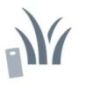 Schmiernippel - 8113131301 Schmiernippel - 8113131301
