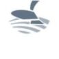 Sticker - 81PR800821 Sticker - 81PR800821