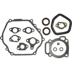 Briggs & Stratton rolniczeczesci.pl