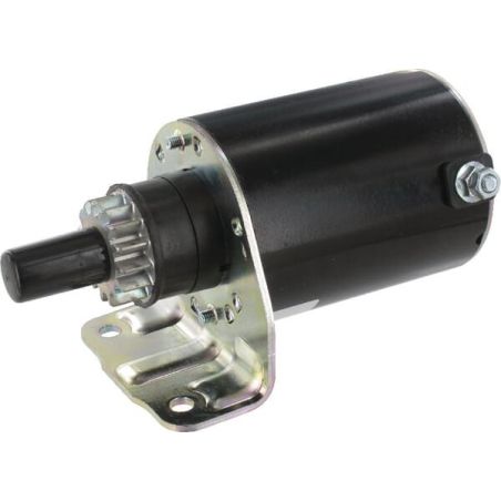 Briggs & Stratton rolniczeczesci.pl