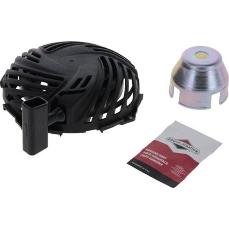 Briggs & Stratton rolniczeczesci.pl