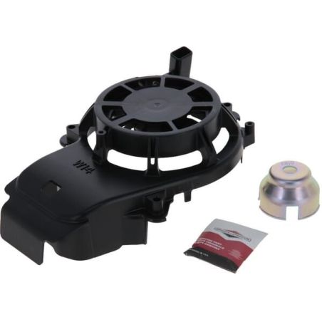 Briggs & Stratton rolniczeczesci.pl