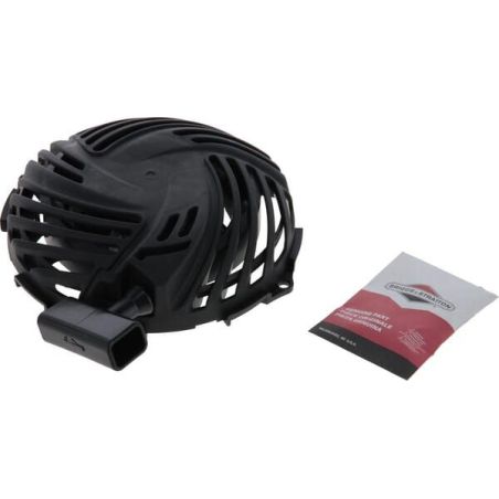 Briggs & Stratton rolniczeczesci.pl
