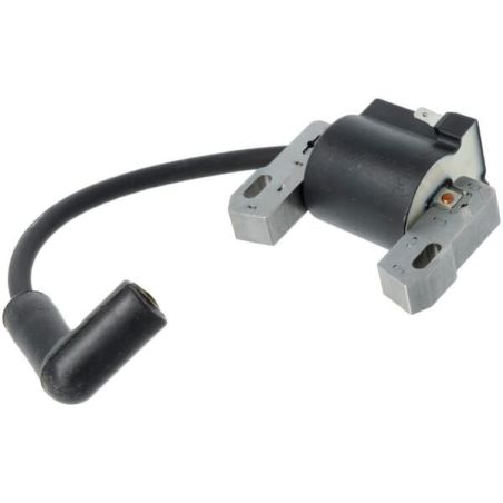 Briggs & Stratton rolniczeczesci.pl