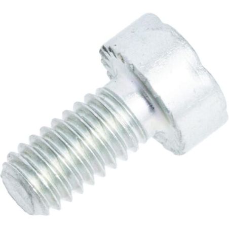 Spline screw IS-M4 x 8 - 90223130633