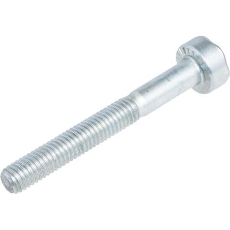 Spline screw IS - M5x40 - 90223411090