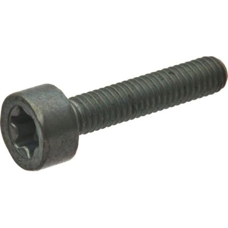 Spline screw IS M4x20 - 90223710710