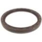 Wellendichtring - 98499174FPT Wellendichtring - 98499174FPT