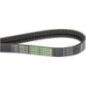 Power belt - AP1001047 Power belt - AP1001047