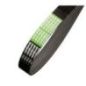 Pas żebrowany - AP1003084 Pas żebrowany - AP1003084