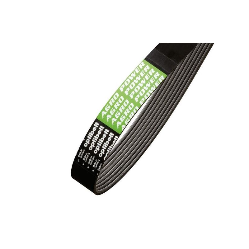 Ribbed belt - AP1003215 Ribbed belt - AP1003215