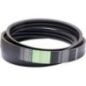 Power belt - AP1003643 Power belt - AP1003643