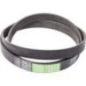 Ribbed belt - AP1003795 Ribbed belt - AP1003795