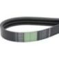Power belt - AP1004569 Power belt - AP1004569