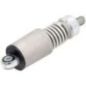 Spannfeder - BTS0047KR