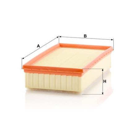 Air Filter - C29110