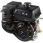 Engine, Horizontal, CH440 E14 - CH4403238