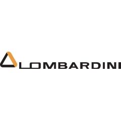 ED0056551080S Lombardini, Springs 