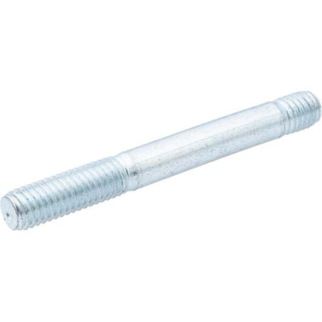 Zapfen - G07924001