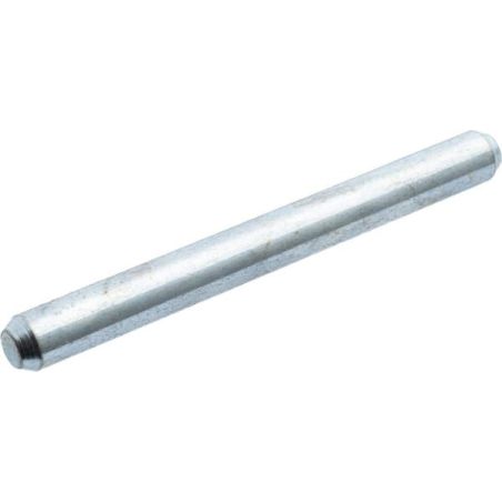 Befestigungsstift 6x60 - SAU11981