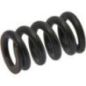 Spring - SL0070308 Spring - SL0070308