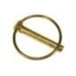 Linch pin x50 - VLF3207 Linch pin x50 - VLF3207