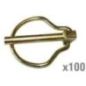 Linch pin x100 - VLF3205 Linch pin x100 - VLF3205