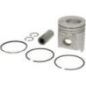 Piston with rings - VPB3808 Piston with rings - VPB3808