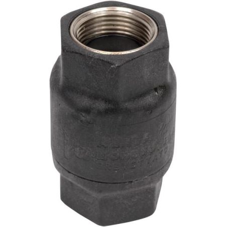 Nylon check valve 3/4 inch - WK514034