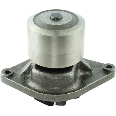Water pump - 0011495801KR