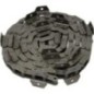 Conveyor chain - 0005200680N Conveyor chain - 0005200680N