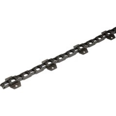 Conveyor chain - 0005200680N